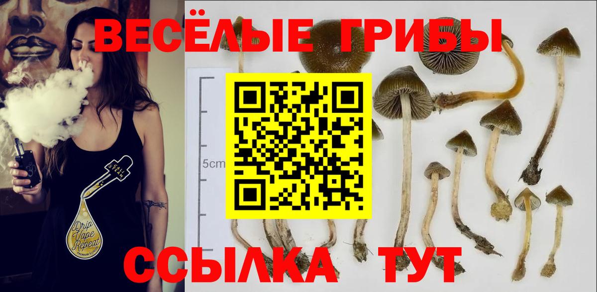 Псилоцибиновые грибы Magic Shrooms  Вход с VPN  Кропоткин  Псилоцибиновые грибы GOLDEN TEACHER 